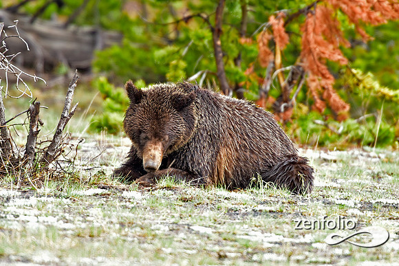 _TED7822