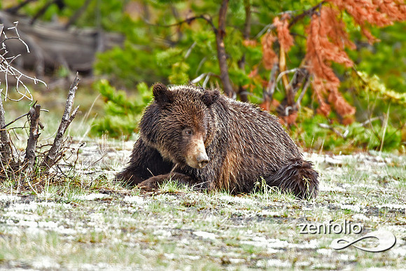 _TED7824