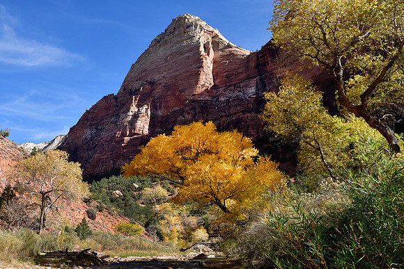 zion national park