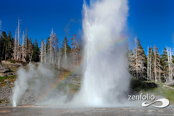 grand geyser evening eruption.