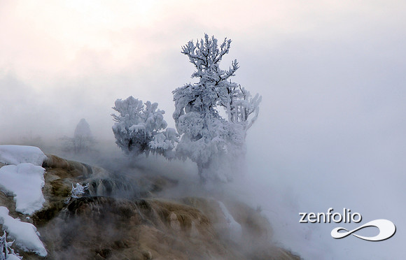 mammoth hot springs lower terrace in winter.