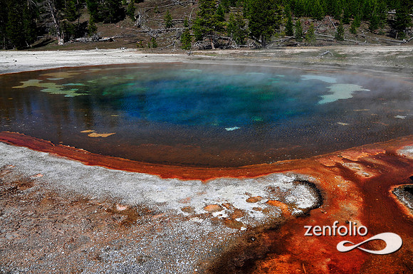chromatic pool,2012.