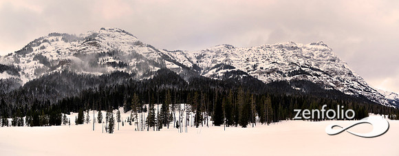lamar valley panorama.