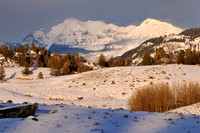 beartooth mtns.late afternoon.