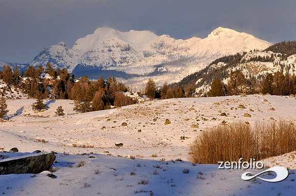 beartooth mtns.late afternoon.