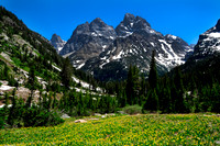 grand tetons cascade canyon.