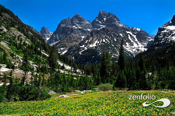 grand tetons cascade canyon.