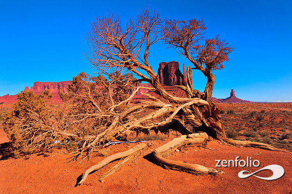 monument valley