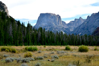 _TED5390