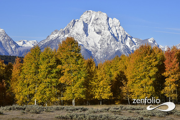 teton lall foliage 2019 (5)