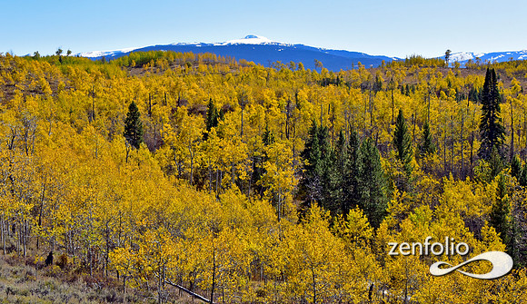 teton fall foliage 2019 (23)