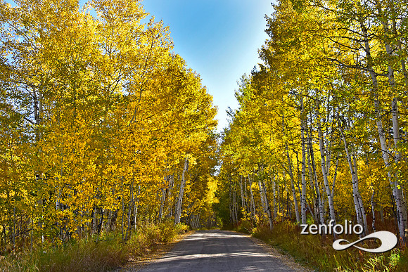 teton fall foliage 2019 (11)