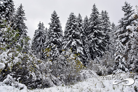 tom miner basin 2019 (22)