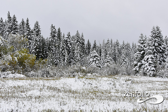 tom miner basin 2019 (17)