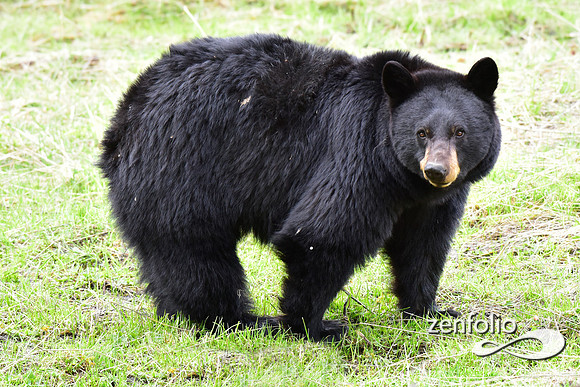 _TED4876