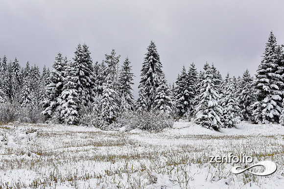 tom miner basin 2019 (18)