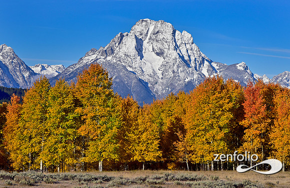 mt moran fall foliage