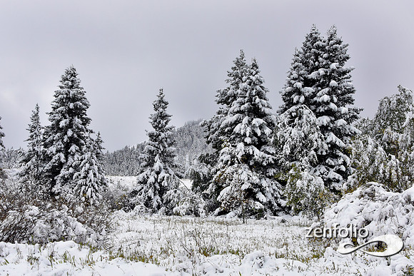 tom miner basin 2019 (23)