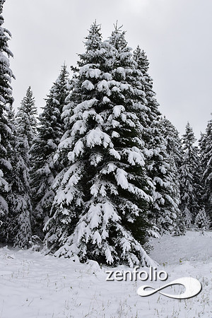 tom miner basin 2019 (20)