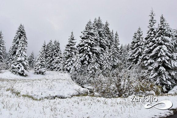 tom miner basin 2019 (19)