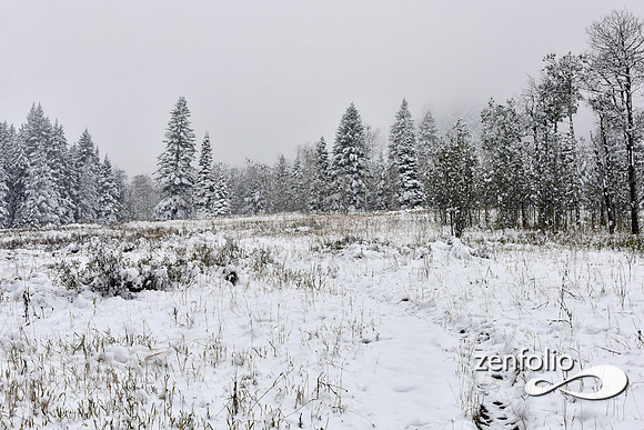 tom miner basin 2019 (25)