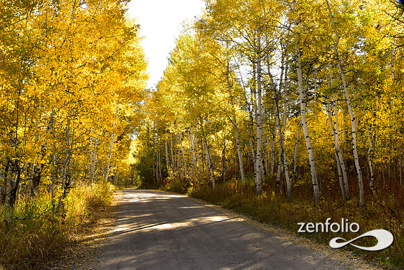 teton fall foliage 2019 (13)