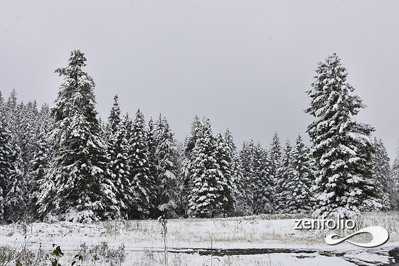 tom miner basin 2019 (34)