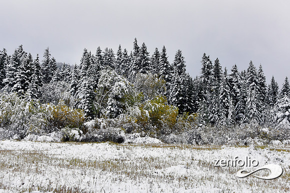 tom miner basin 2019 (16)