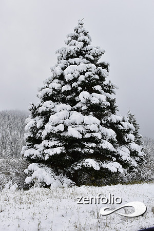 tom miner basin 2019 (24)