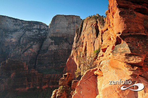 angels landing,great white throne.