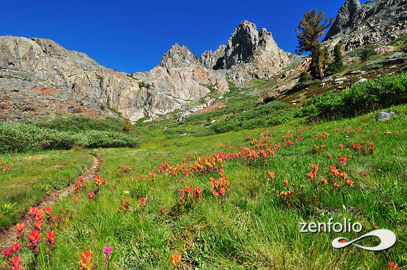 high sierra trail.