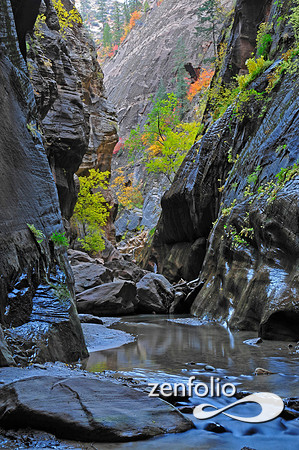 the narrows